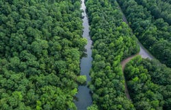 TBD Hinkle Dam Road, Waldron, AR 72958