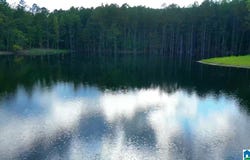 387 MAGNOLIA LANE lot: 1, VANDIVER, AL 35176