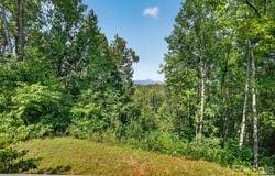 484 Briar Patch Lane, Saluda, NC 28773