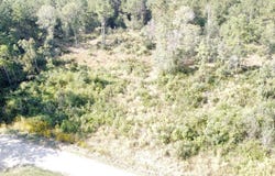 705 CR 825, Buna, TX 77612