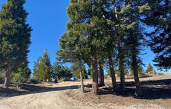 196 Mill Pond Rd, Lake Arrowhead, CA 92352