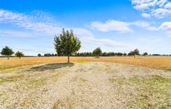 710 E Reindeer Road, Lancaster, TX 75146