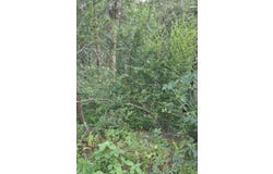Ball Road, Bradford, AR 72020