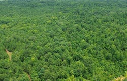 County Rd 34, Hurtsboro, AL 36860