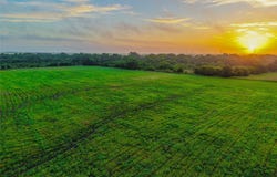524 County Road 453, Troy, TX 76579