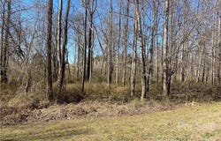 Bridge Lane, Tryon, NC 28782