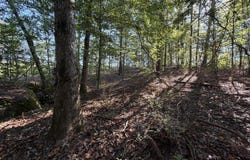 Cauthen Road, Camden, MS 39045