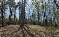 Gladys Road, Altavista, VA 24517