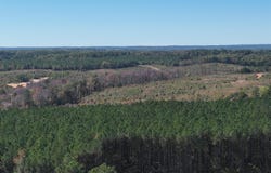 Mabelvale, AR 72103