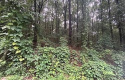 Clairborne Jones Rd, WAYNESBORO, MS 39367