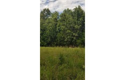 Thayer, MO 65791