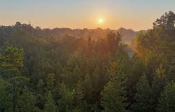 254 Putnam Rd, Pickens, MS 39146