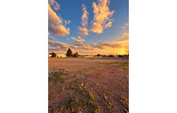 715 W San Antonio St, Marfa, TX 79843