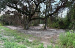 CR 49, LIVE OAK, FL 32060