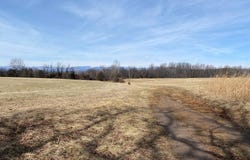WHITES FARM Lane, CULPEPER, VA 22701