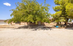 38617 E 95th Street, Palmdale, CA 93591
