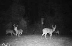 1600 Deer Run Rd, Dixons Mills, AL 36736