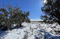 5741 S Lariat Road, Williams, AZ 86046