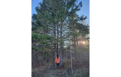 72XX E Superior St, Duluth, MN 55804