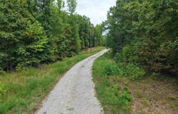 84 Archwood, Mount Ida, AR 71957