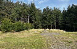 Sauter Dr, Florence, OR 97439