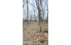 upper lakeview Drive, Lackawaxen, PA 18435