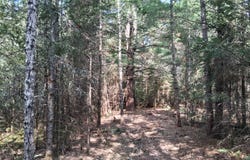 3 Zenith Tower Road, Tomahawk, WI 54487