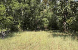 230 B AND K Way, Adamsville, TN 38310