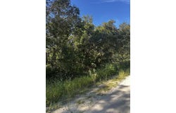 NE 306th Ave, Old Town, FL 32680