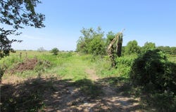 CR 129 Road, Marlin, TX 76661
