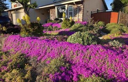 2504 Silverado Dr, Antioch, CA 94509