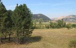 CUSTOMS Rd, CURLEW, WA 99118