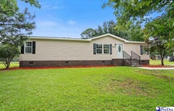 3244 James Turner Rd, Effingham, SC 29541