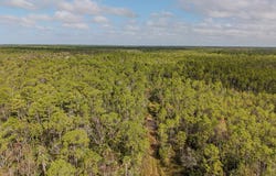 SW 741st St, Horseshoe Beach, FL 32648