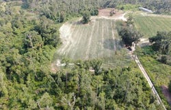 Mills Ln. Tract A, Pearson, GA 31642