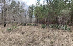 Nova Jean Road, Fordyce, AR 71742