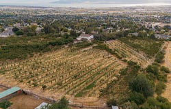 1525 E 200 S, Pleasant Grove, UT 84062