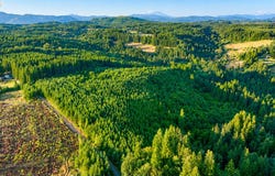 Finalburg Rd, LaCenter, WA 98629