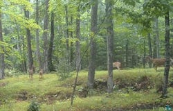 63XX E County Rd B, South Range, WI 54874