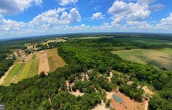 10600 Highway 80 E, Brooklet, GA 30415