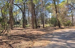 Hickory Lane lot: 6, Bullard, TX 75757