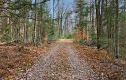 Christman Road, Cold Brook, NY 13324