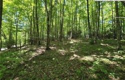 West Jefferson, NC 28694