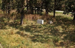 County Rd NN, Sheldon, MO 64784