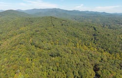 Abbott Mill Road lot: 22,23,0, Ellijay, GA 30540