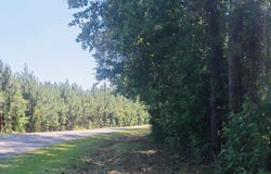 82 Acres Point Caswell Rd, Atkinson, NC 28421