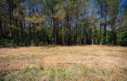 Burntfields Rd, Fulton, MS 38843
