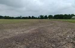CR494 N, Chilton, TX 76632