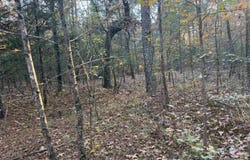 9999 easement Road, Cove, AR 71937