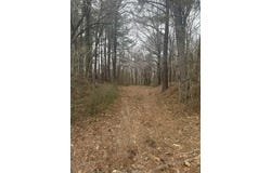 HIGHWAY 195, Williston, TN 38076